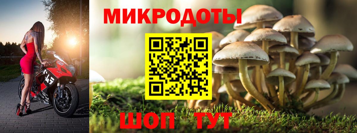 Саранск  Псилоцибиновые грибы Psilocybine cubensis  Вход с VPN 